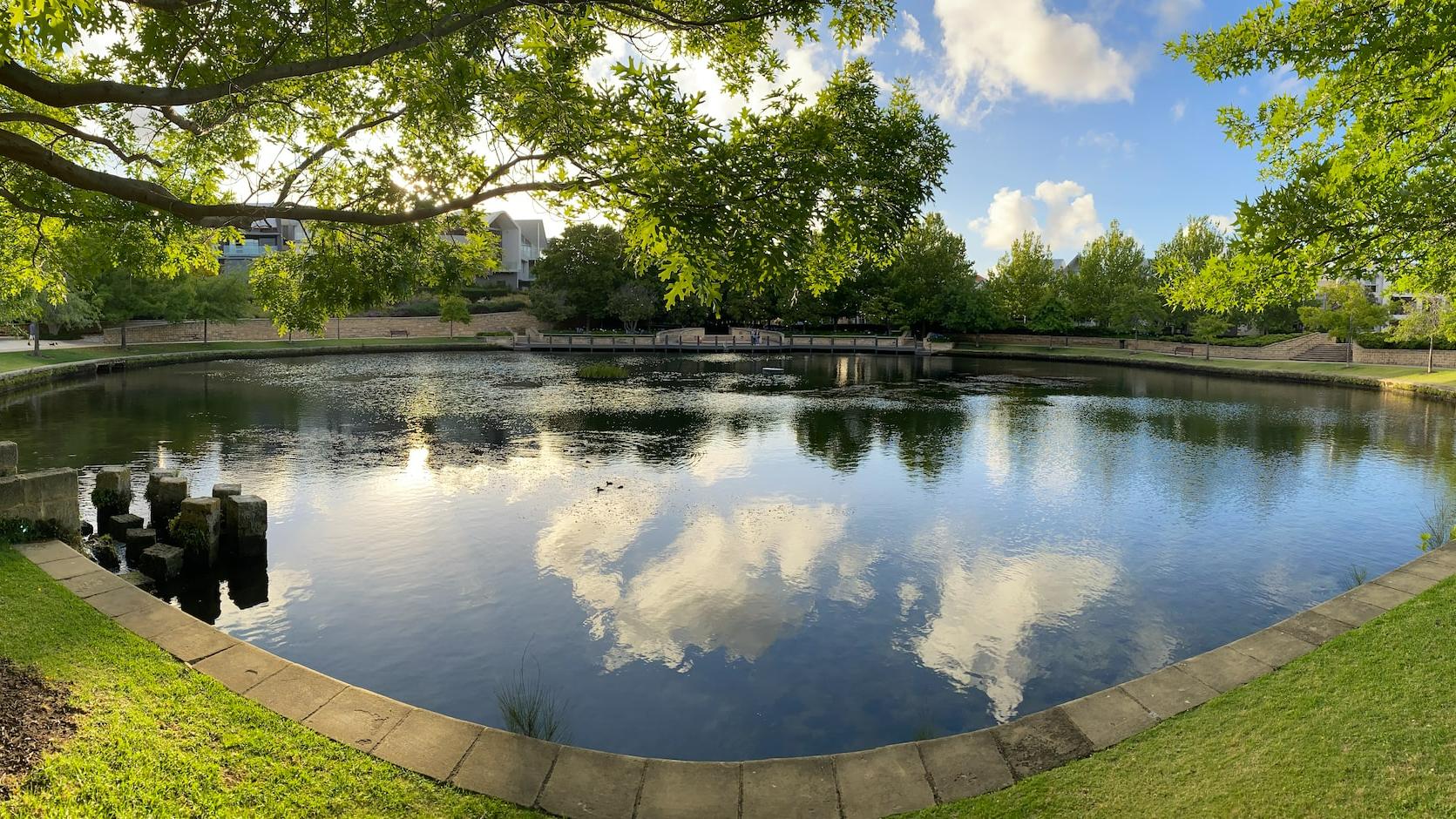 body of water near green trees during daytime